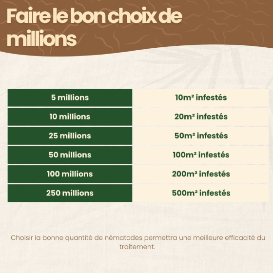 Nématodes SC contre doryphore de la pomme de terre - 25 millions - 50 m²