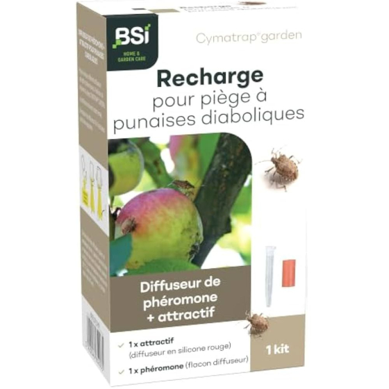 CYMATRAP - recharge pour piège à punaises diaboliques (1+1)