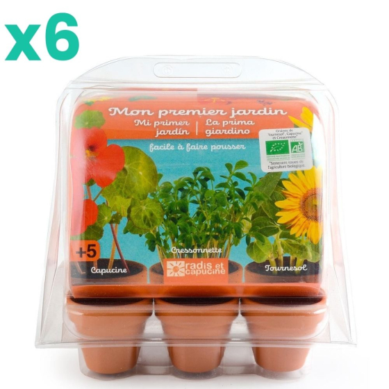 Lot de 6 mini serres : Mon potager