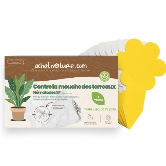Nématodes SF contre mouches des terreaux (3 millions) + 10x pièges jaunes