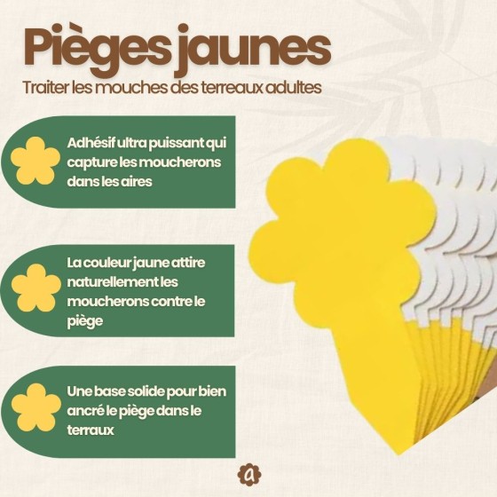 Nématodes SF contre mouches des terreaux (3 millions) + 10x pièges jaunes