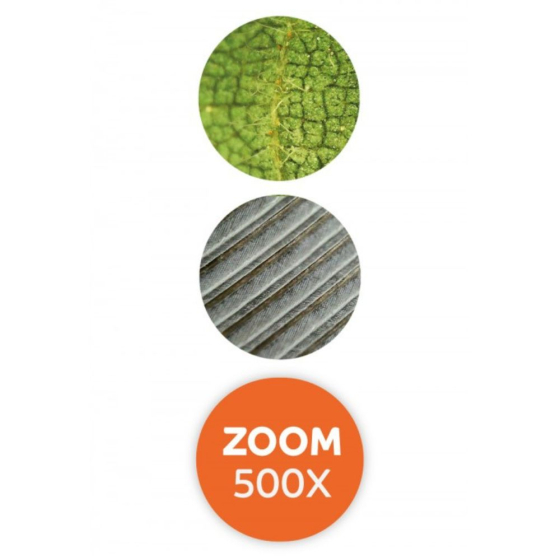 Microscope Loupe Vidéo