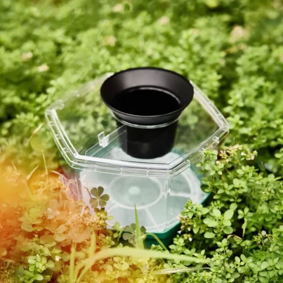 Piège à moustiques x 2 Hexa catch