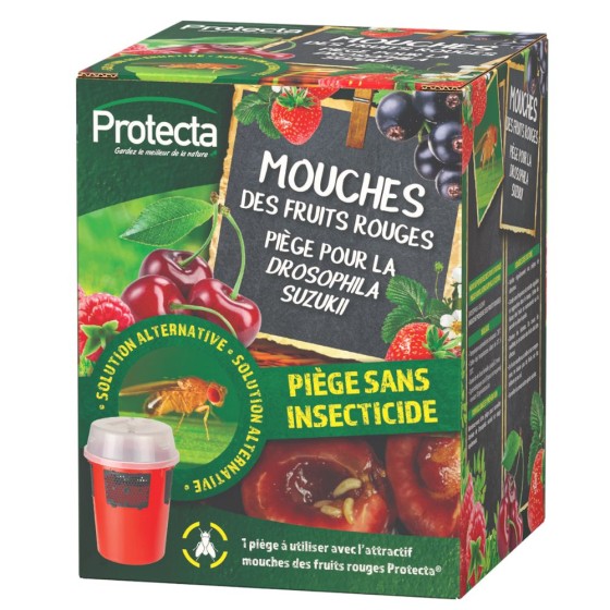 Piège Mouche des fruits rouges Drosophila Suzukii