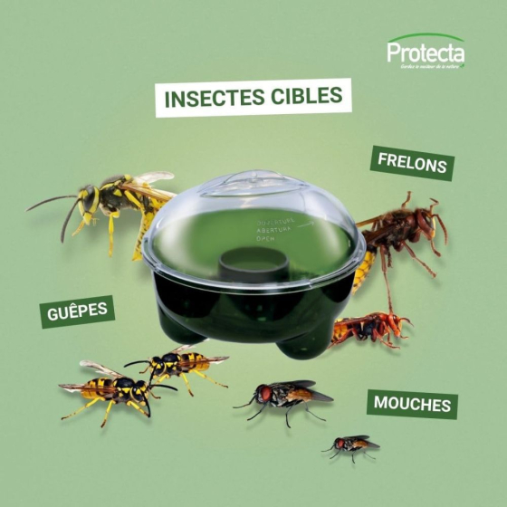 Piège guêpes et frelons
