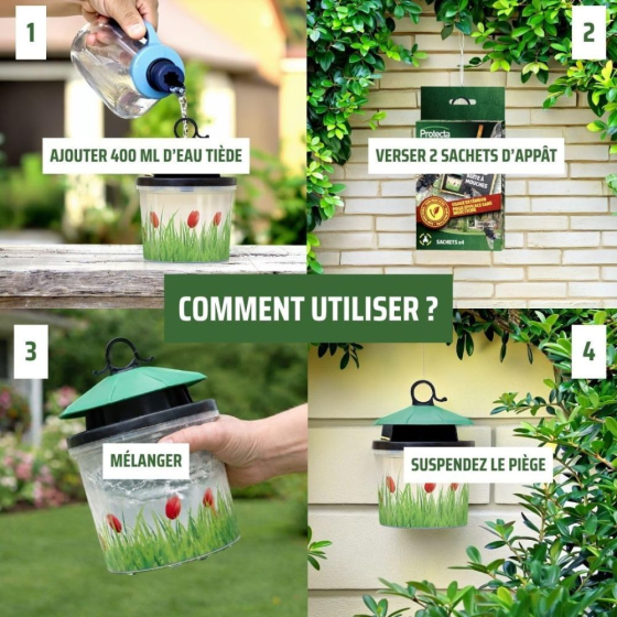 Boîte à mouches : piège écologique