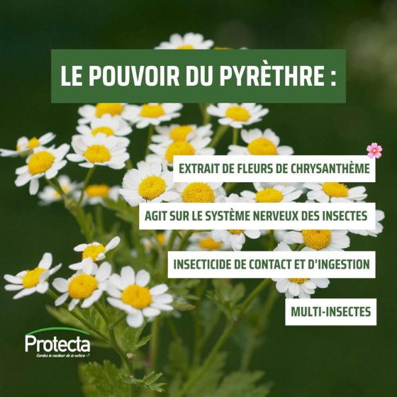 Diffuseur automatique d'insecticides au pyrèthre végétal + 1 recharge
