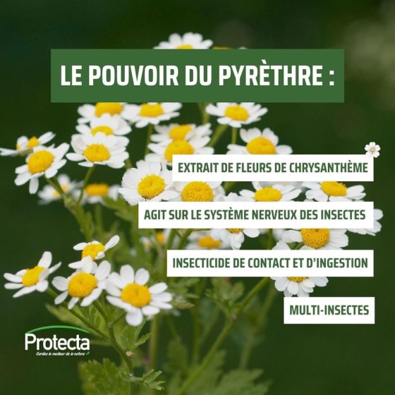 Lot de 5 recharges pour diffuseur d'insecticides