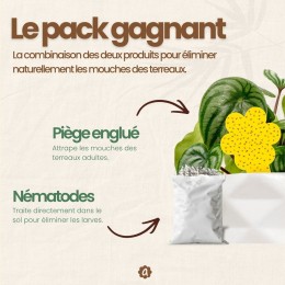 Nématodes SF contre mouches des terreaux (3 millions) + 10x pièges jaunes