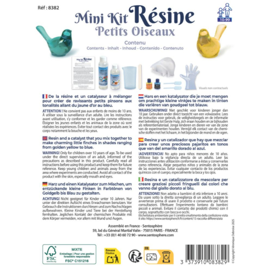 Mini kit résine : petits oiseaux