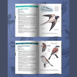 Les petits livres de la nature - Oiseaux migrateurs