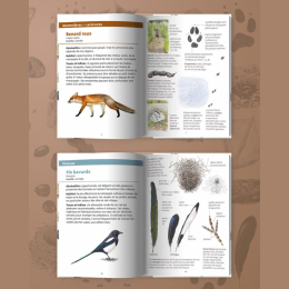 Les petits livres de la nature - Traces d'animaux