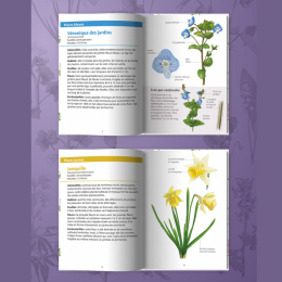 Les petits livres de la nature - Fleurs du printemps