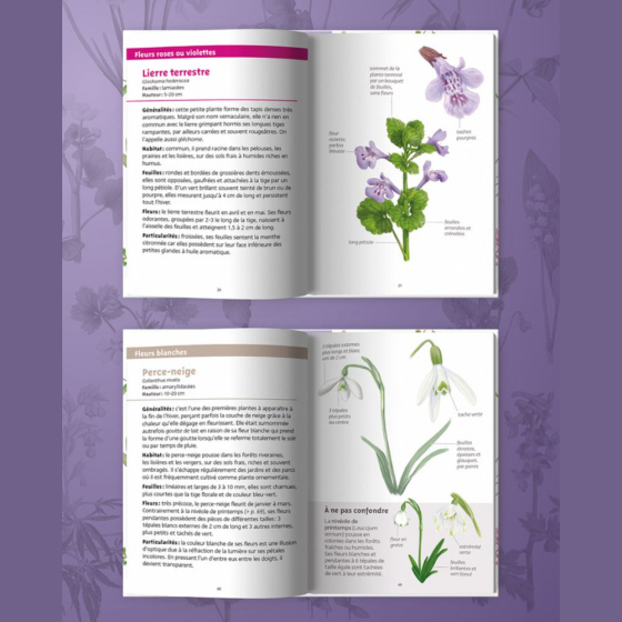 Les petits livres de la nature - Fleurs du printemps
