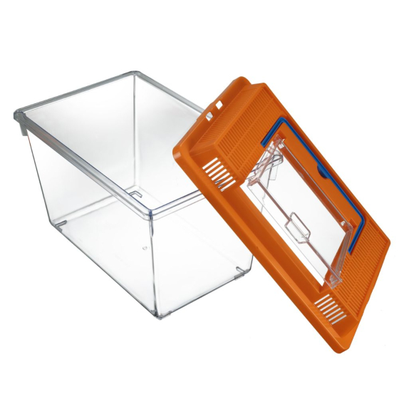 Kit de Découverte nature pour enfant
