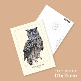 Hibou grand-duc - Carte postale pédagogique