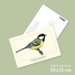 Mésange charbonnière - Carte postale pédagogique
