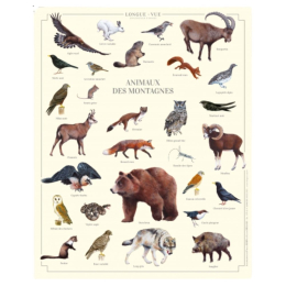 Animaux des montagnes - Affiche 24 x 30 cm