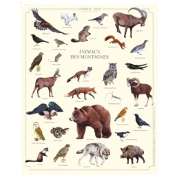 Animaux des montagnes - Affiche 24 x 30 cm