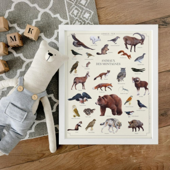 Animaux des montagnes - Affiche 24 x 30 cm