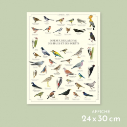 Oiseaux des jardins, des haies et des forêts - Affiche 24 x 30 cm