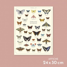 Papillons de France - Affiche 24 x 30 cm