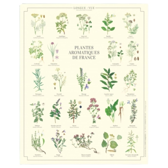 Plantes aromatiques de France - Affiche 24 x 30 cm