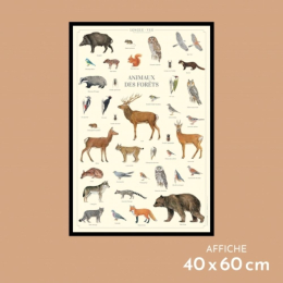 Animaux des forêts - Affiche 40 x 60 cm