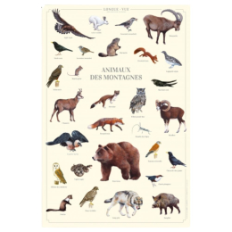 Animaux des montagnes - Affiche 40 x 60 cm