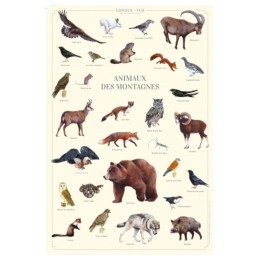 Animaux des montagnes - Affiche 40 x 60 cm