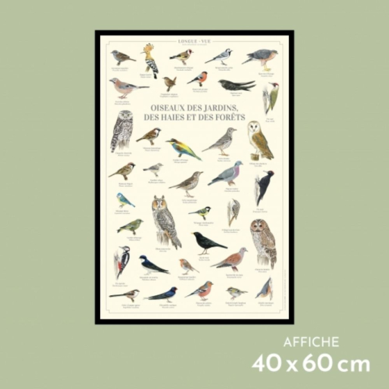 Oiseaux des jardins, des haies et des forêts - Affiche 40 x 60 cm