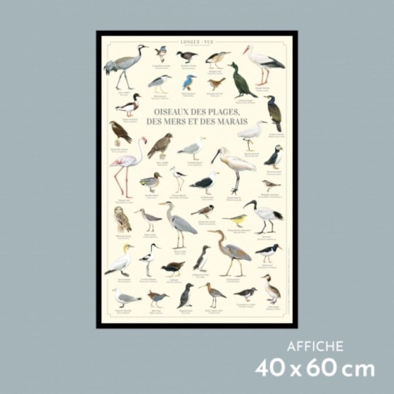 Oiseaux des plages, des mers et des marais - Affiche 40 x 60 cm