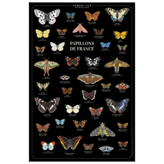 Papillons de France - Affiche 40 x 60 cm