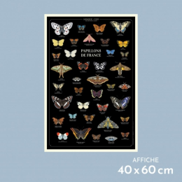 Papillons de France - Affiche 40 x 60 cm