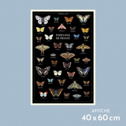 Papillons de France - Affiche 40 x 60 cm