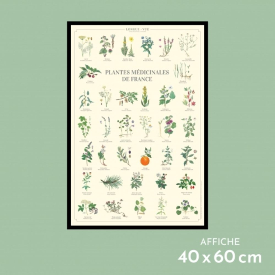 Plantes médicinales de France - Affiche 40 x 60 cm
