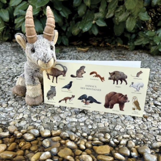 Animaux des montagnes - Carte double