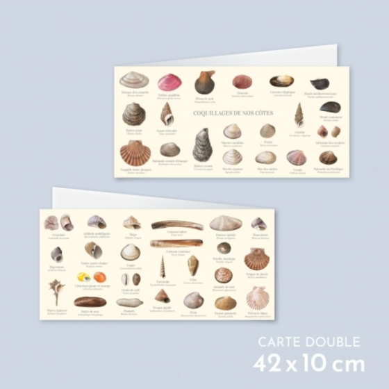 Coquillages de nos côtes - Carte double