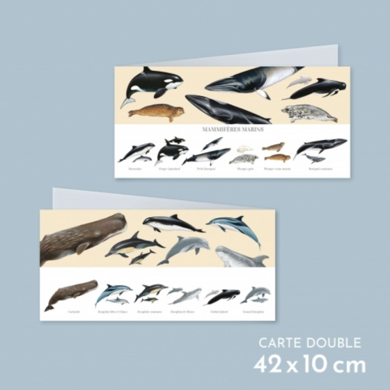 Mammifères marins - Carte double