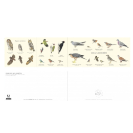 Oiseaux des forêts - Carte double