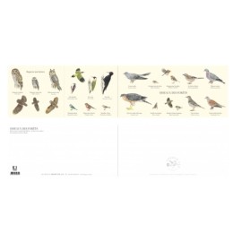 Oiseaux des forêts - Carte double