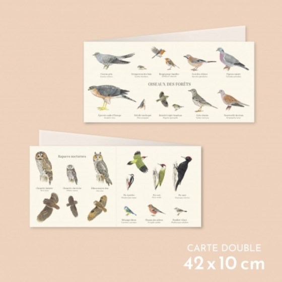 Oiseaux des forêts - Carte double