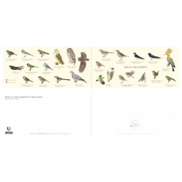 Oiseaux des jardins - Carte double