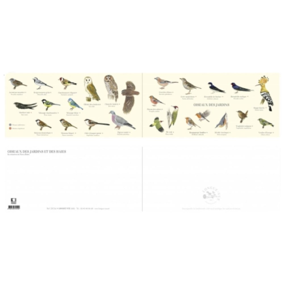 Oiseaux des jardins - Carte double