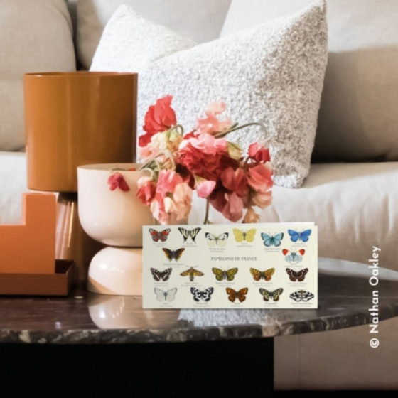 Papillons de France - Carte double