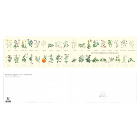 Plantes médicinales de France - Carte double