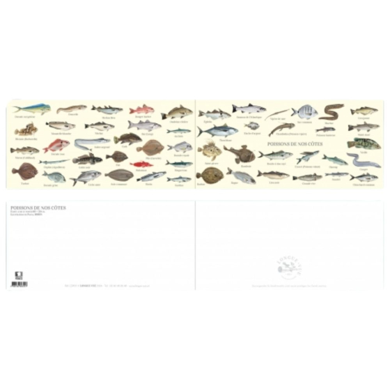 Poissons de nos côtes - Carte double