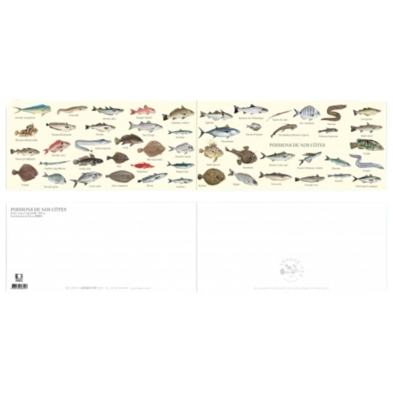 Poissons de nos côtes - Carte double