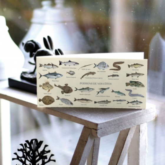 Poissons de nos côtes - Carte double