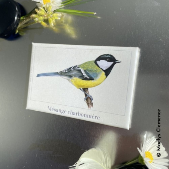 Mésange charbonnière - Magnet